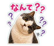 854969654