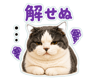 854969655