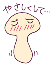 854972
