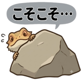 854975155