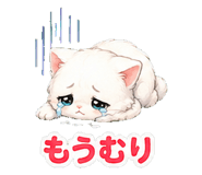 854976429
