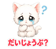 854976446