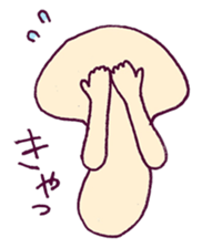 854977