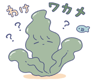 854977335