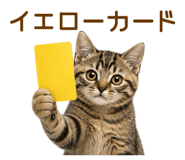 854979025