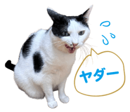 854979698