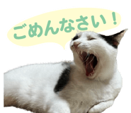 854979725