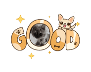 854981790