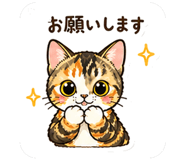 854984011