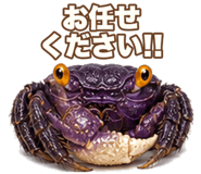 854991707