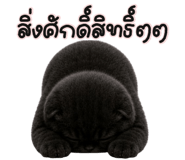 854996485