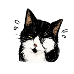 855013186