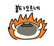 855013979