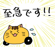 855017606