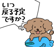 855017607
