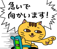 855017611