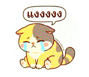 855020000