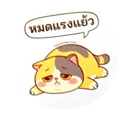 855020003