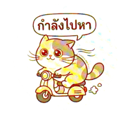 855020005