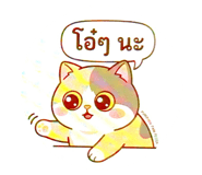 855020006