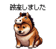 855020411