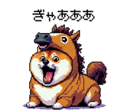 855020424
