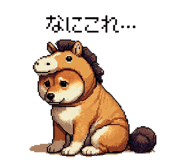 855020426