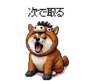 855020430