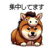 855020432