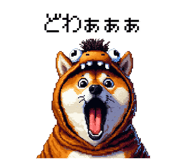 855020434