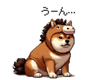 855020436