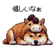 855020437