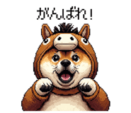 855020443
