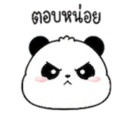 855020482