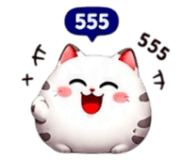 855020874