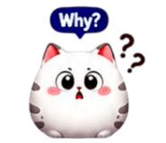 855020875