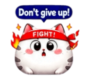 855020880