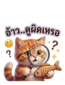 855020968