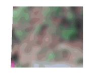 855021665