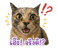 855022432