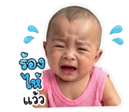 855024475