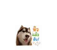 855029659