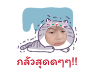 855032003