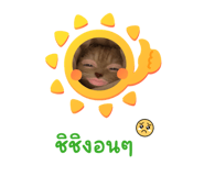 855032016