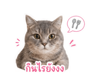 855033082