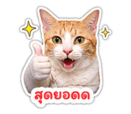 855034086