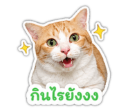855034090
