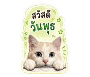 855034555