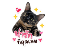 855034665