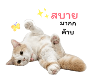 855034724